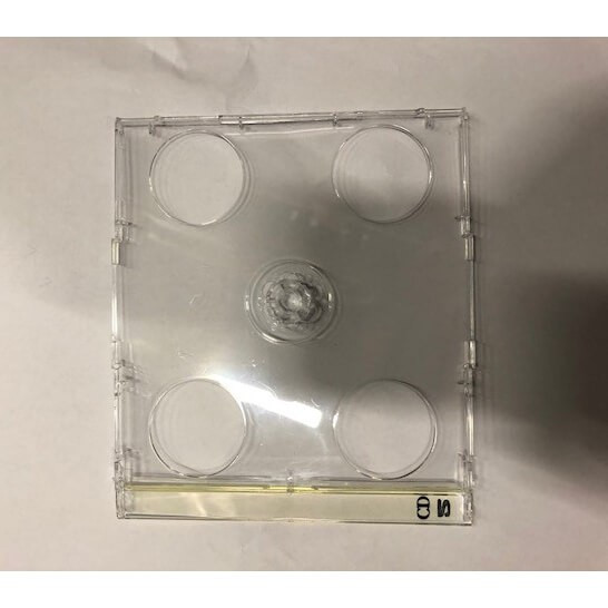Smart Tray För 2 CD Clear