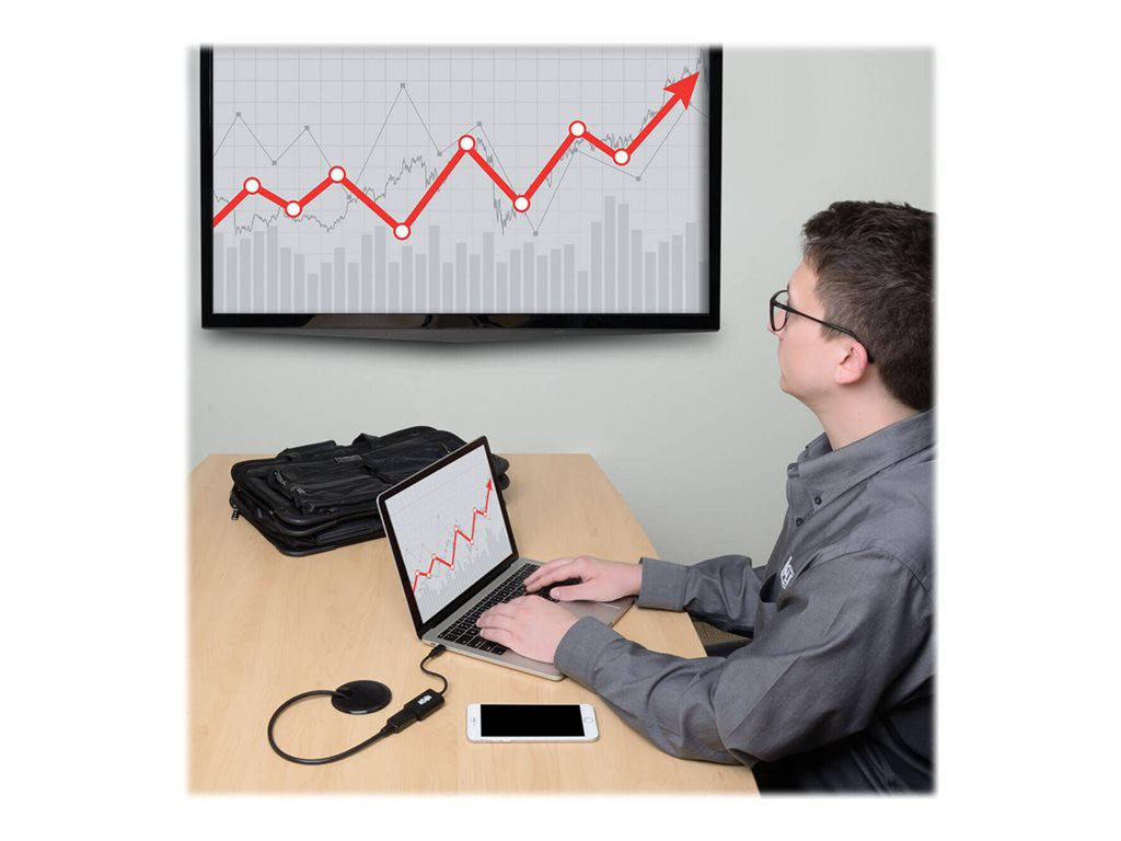 EATON TRIPPLITE USB-C to Displayport 4K