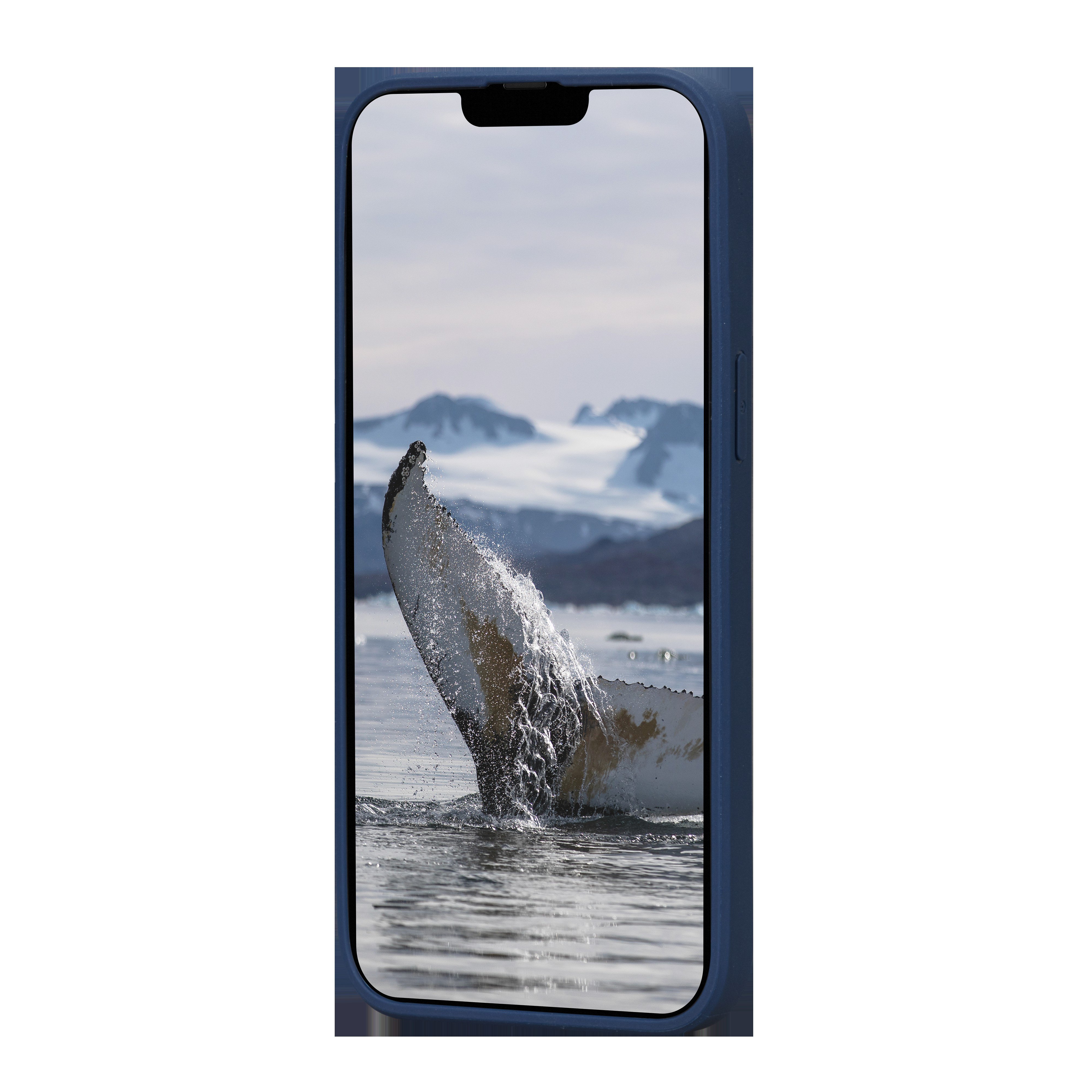 Greenland iPhone 14, Pacific Blue (ECO)