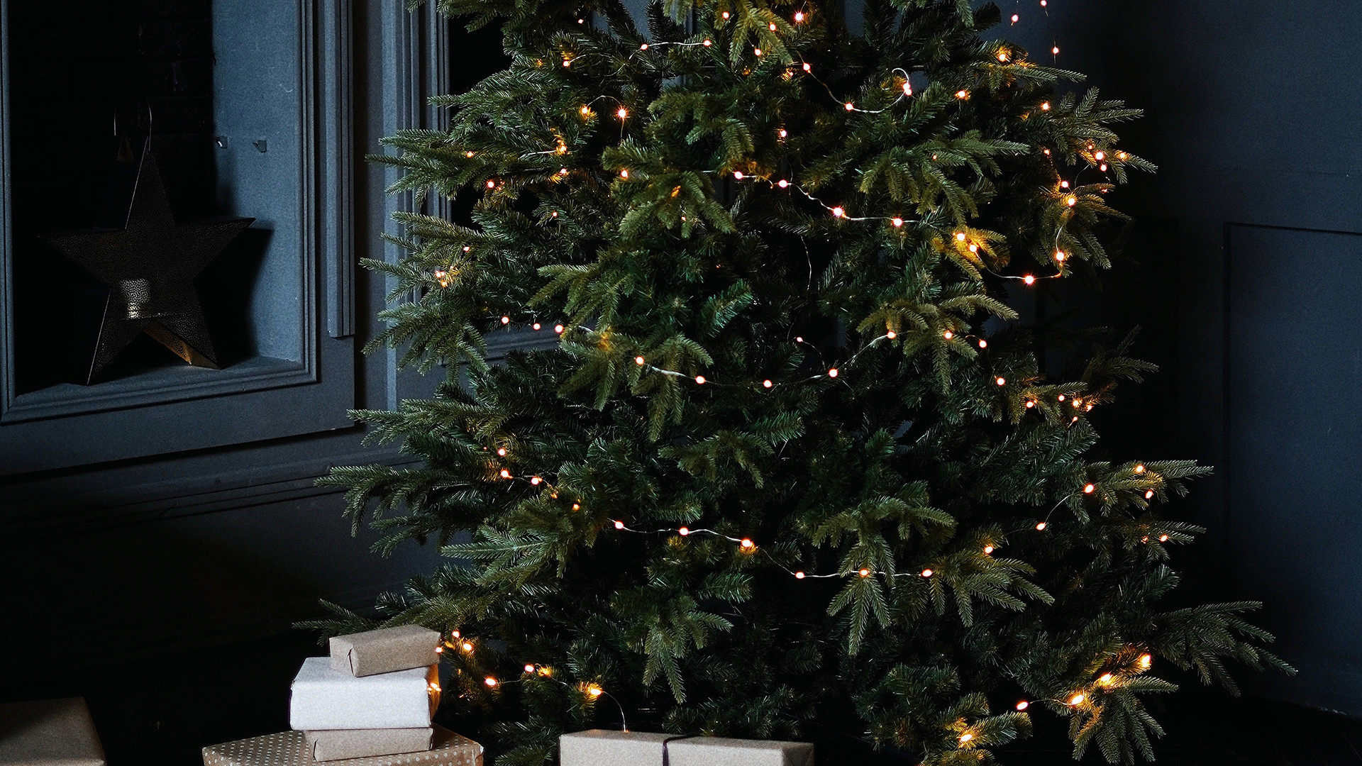 Hombli Smart Christmas Lights RGB