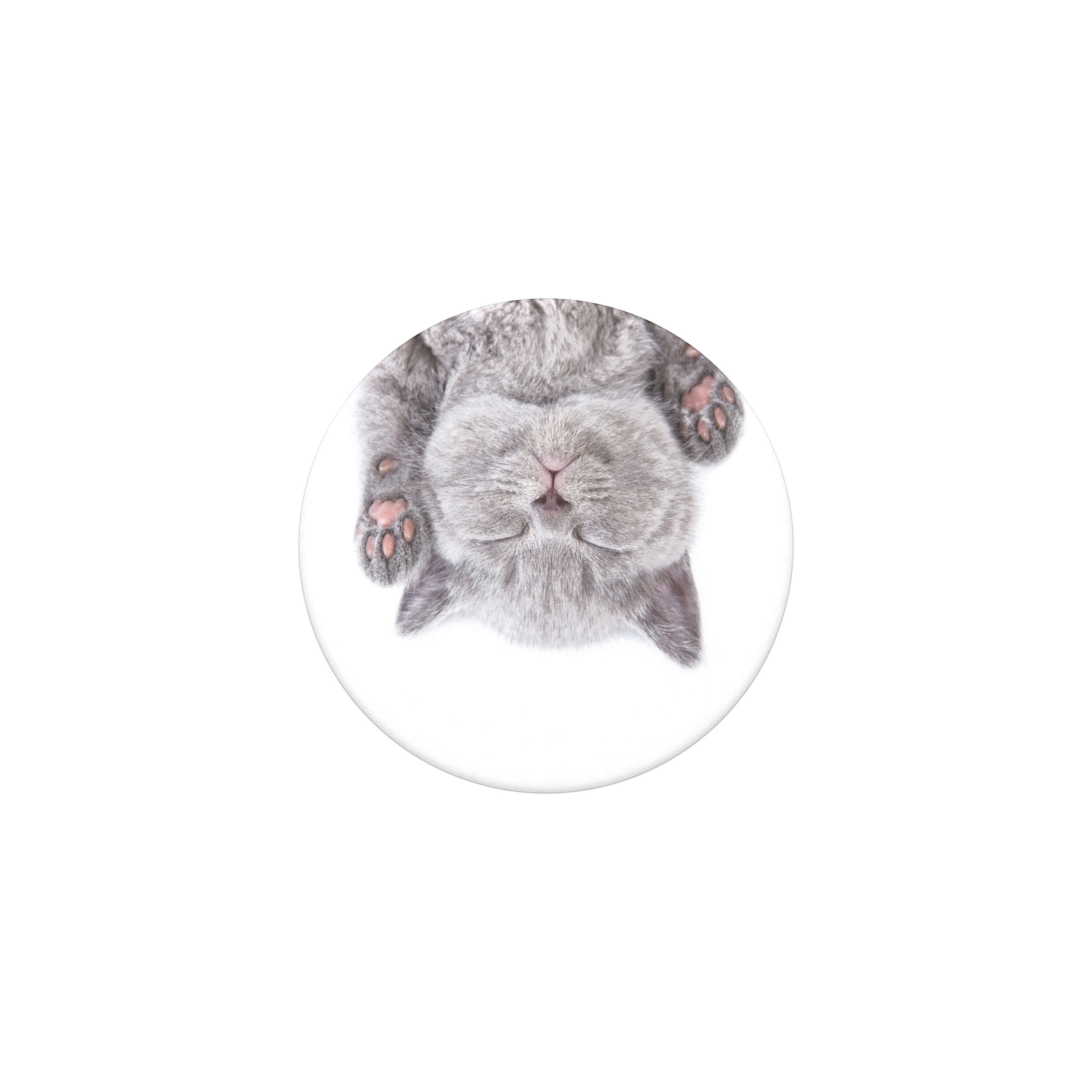 BildePOPSOCKETS Cat Nap Avtagbart Grip med stativfunksjon