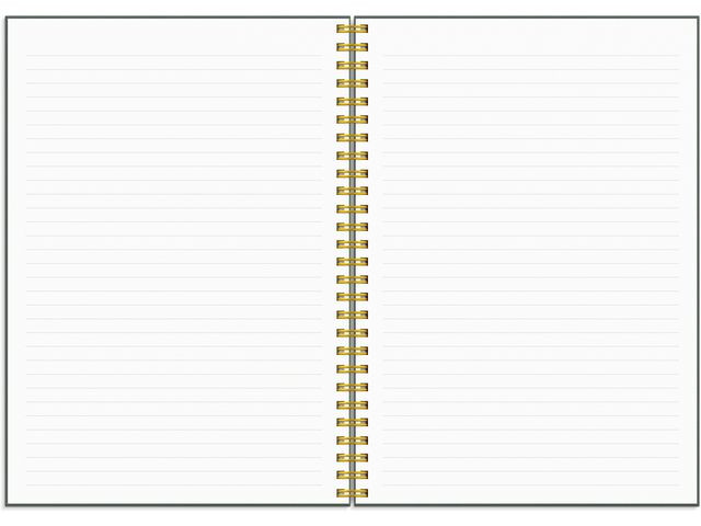 BildeLife Planner Do More Grieg A5 25/26