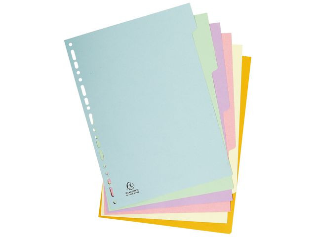 BildeSkilleblad Exacompta Forever A4 6-Delt (50 stk)