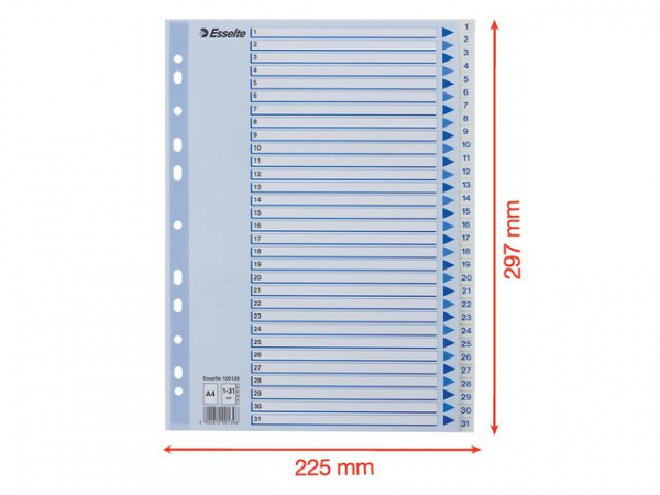 Register Esselte A4 Plast 1-31 Blå/Hvit