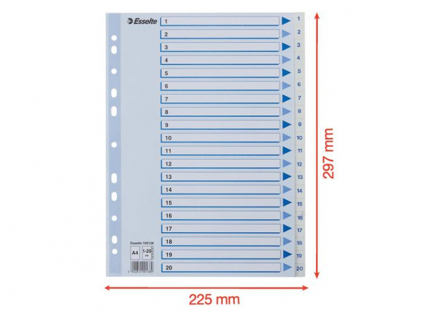Register Esselte A4 Plast 1-20 Blå/Hvit