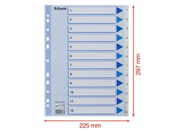 Register Esselte A4 Plast 1-12 Blå/Hvit (10 stk)