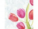Serviett Dunisoft 40Cm Tulips (50 stk/pk...