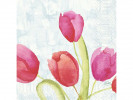 Serviett Duni 3L 33Cm Tulips (50 stk/pk,...