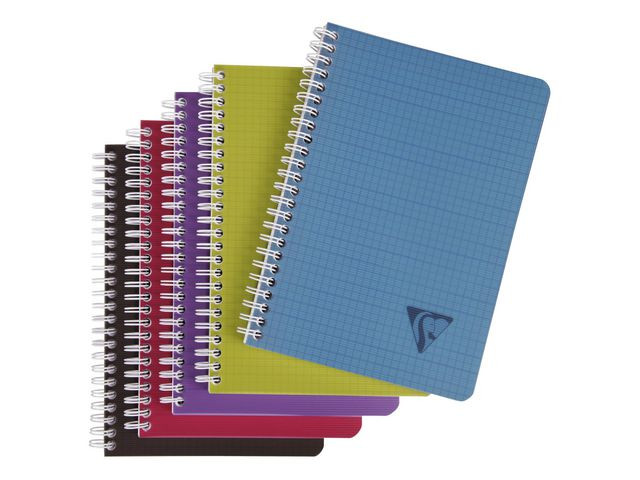 BildeNotatbok Clairefontaine Intense A5 Ruter (5 stk)