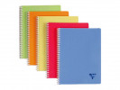 Notatbok Clairefontaine Linicolor A4 Rut...