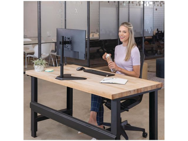 BildeSkjermarm Fellowes Seasa Single