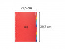 Skilleblad Exacompta A4 12-Delt