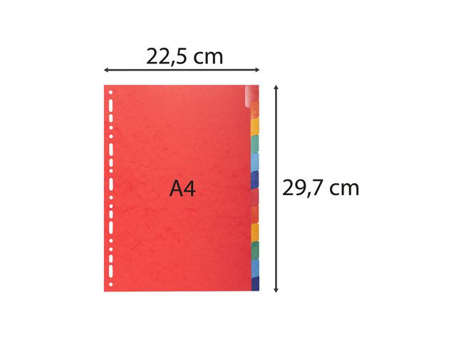 BildeSkilleblad Exacompta A4 12-Delt