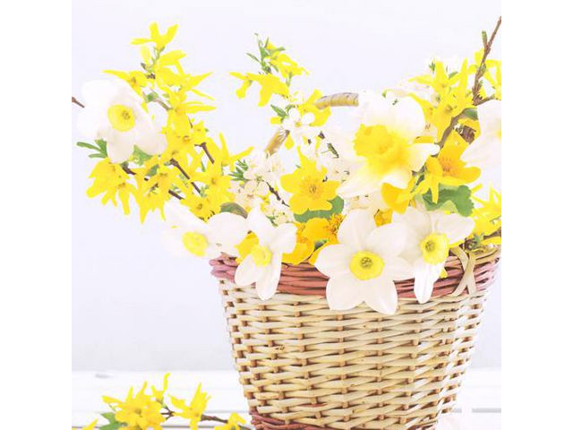 BildeServiett Påskeliljer 3L 33X33Cm (20 stk)