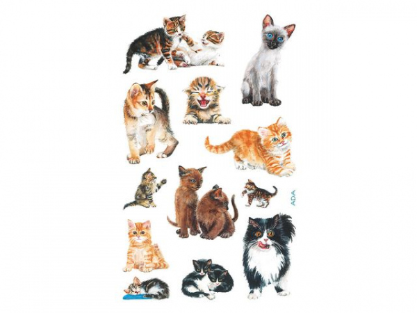 Etikett Avery Dekor Katter (3 stk/pose, 10 poser)