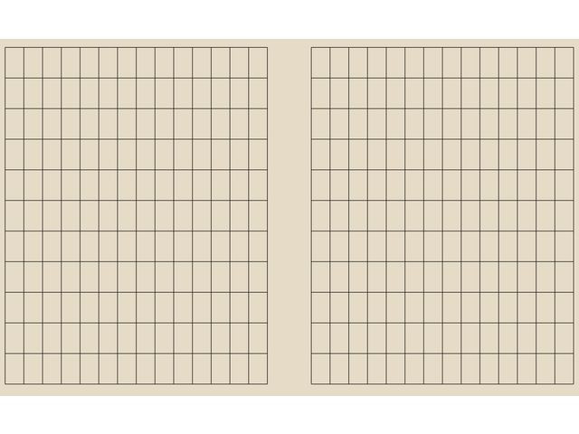 BildeArbeidsbok 17X21 80G 11X18 Rutet (20 stk)