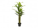 Kunstig Plante Strelitzia 150Cm