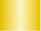 Plakatkartong Ursus 48X68 380G Gull (10...