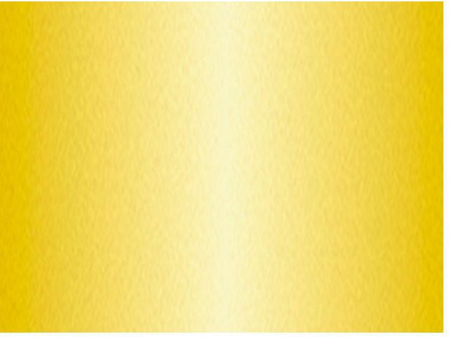 BildePlakatkartong Ursus 48X68 380G Gull (10 stk)
