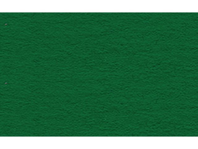 BildePlakatkartong Ursus 48X68 380G Mørkgrønn (10 stk)