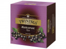 Te Twinings Solbærte (100 stk)