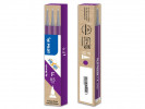Refill Pilot Frixion Point 05 Fiolett (3...