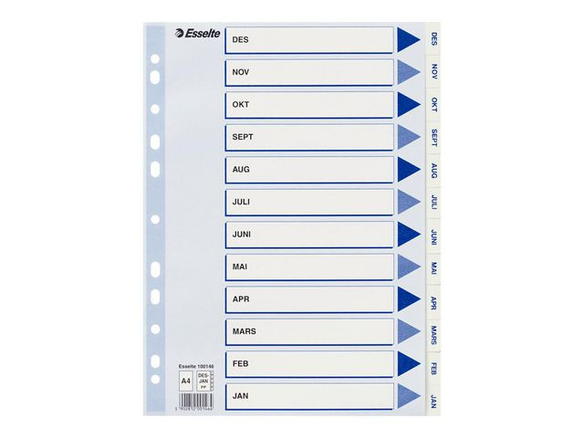 BildeRegister Esselte A4 Plast Des-Jan Hvit (10 stk)