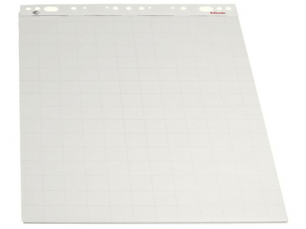 Flippoverblokk Esselte 60X84Cm (5 stk)