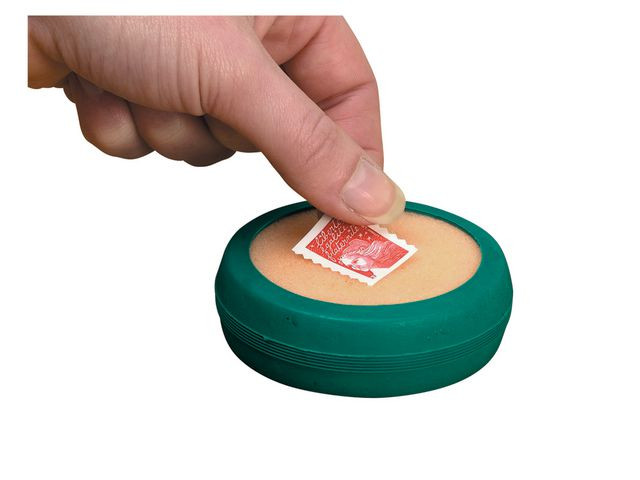 BildeFingerfukter Ø 8Mm Grønn