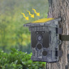 ROLLEI Wildkamera 4K WiFi Solar