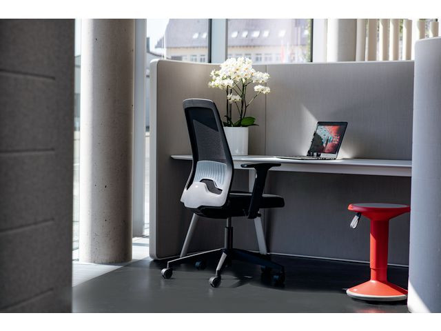 Kontorstol Interstuhl 172E4 Mesh Sort