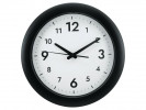Veggur Alba Easy Time Sort