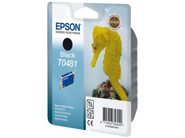 Blekk Epson T0481 C13T04814010 Sort