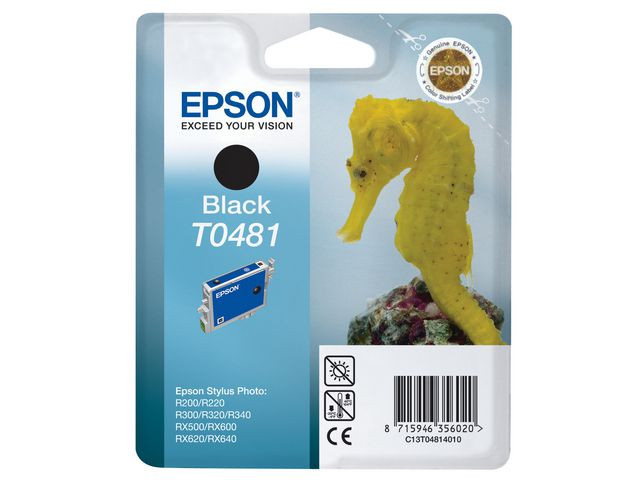BildeBlekk Epson T0481 C13T04814010 Sort
