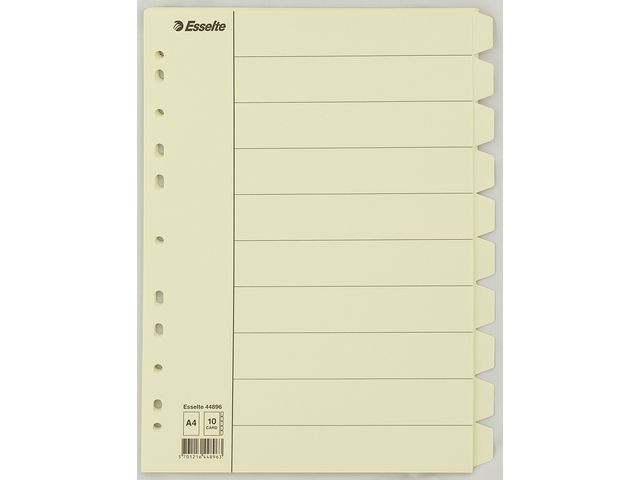 BildeSkilleblad Esselte A4 10-Delt Manil Fane