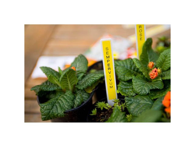 Brother TZe tape 12mmx8m black/yellow