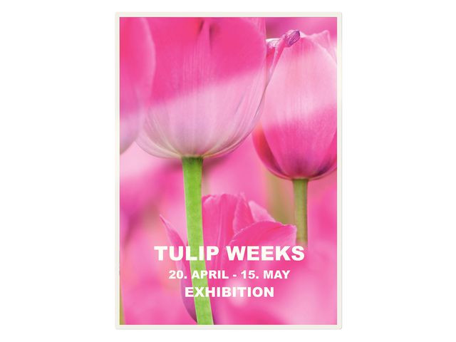 Lamineringslomme Leitz A4 Udt 125My (25 stk)