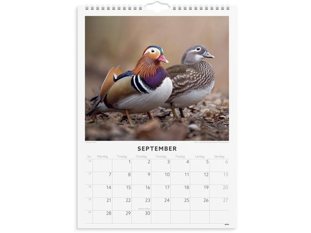 Veggkalender Grieg 2026 Fugler