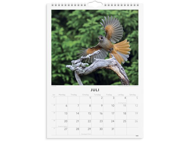 Veggkalender Grieg 2026 Fugler