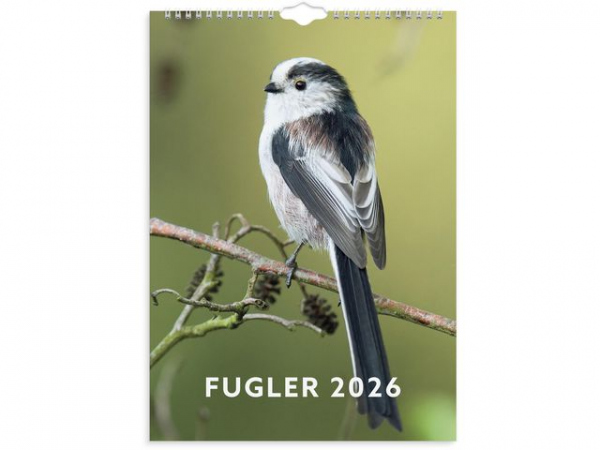 Veggkalender Grieg 2026 Fugler