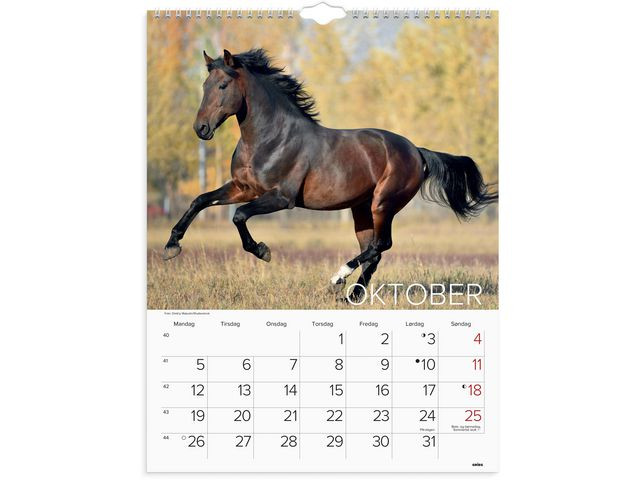Veggkalender Grieg 2026 Hester