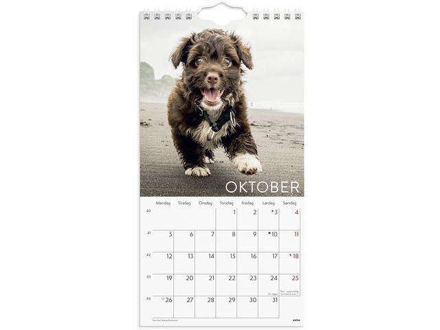 Veggkalender Grieg 2026 Hunder Mini