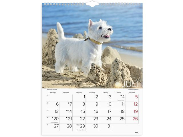 Veggkalender Grieg 2026 Hunder