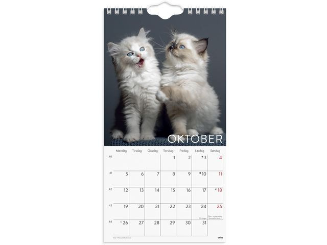 Veggkalender Grieg 2026 Katter Mini