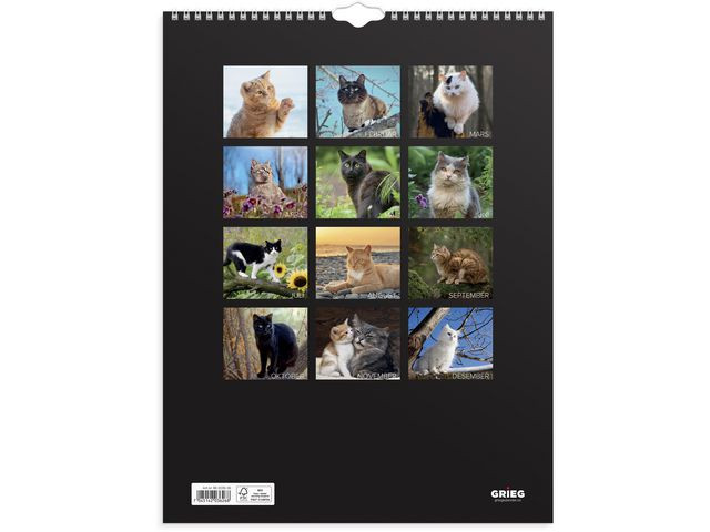 Veggkalender Grieg 2026 Katter