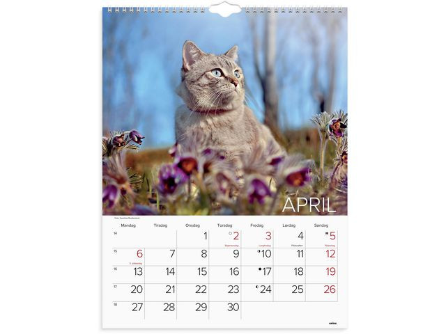 Veggkalender Grieg 2026 Katter