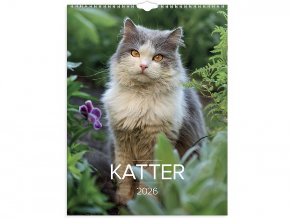 Veggkalender Grieg 2026 Katter