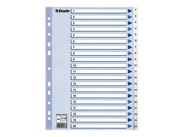 Register Esselte A4 Plast 1-20 Blå/Hvit