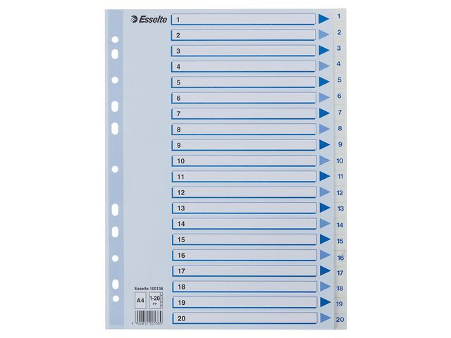 BildeRegister Esselte A4 Plast 1-20 Blå/Hvit