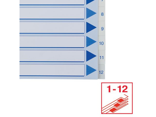 Register Esselte A4 Plast 1-12 Blå/Hvit (10 stk)